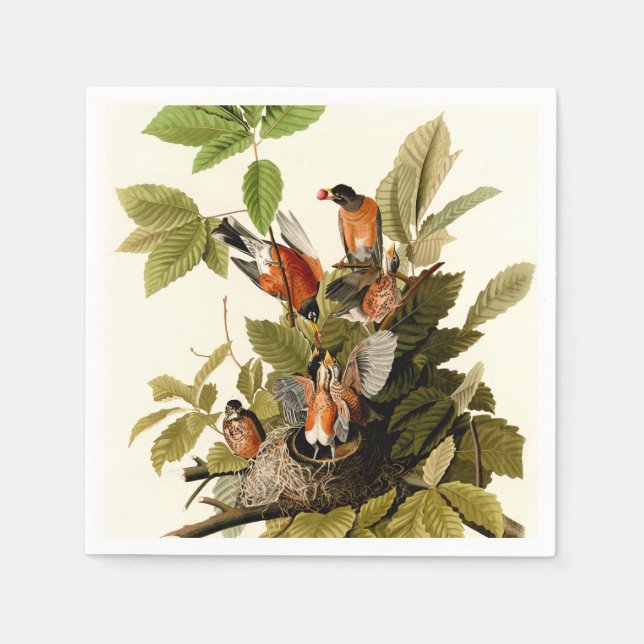 Audubon American Robin Wildlife Bird Illustration Serviette (Vorderseite)