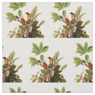 Audubon American Robin Wildlife Bird Illustration Stoff