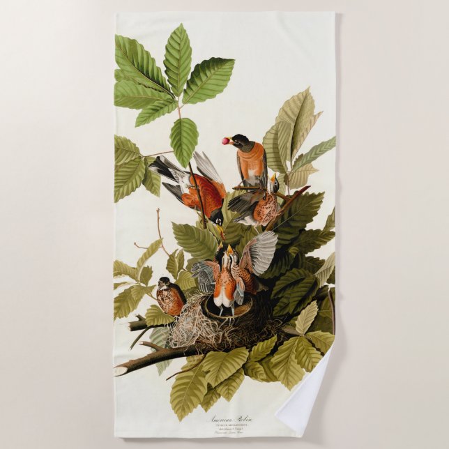 Audubon American Robin Wildlife Bird Illustration Strandtuch (Vorderseite)
