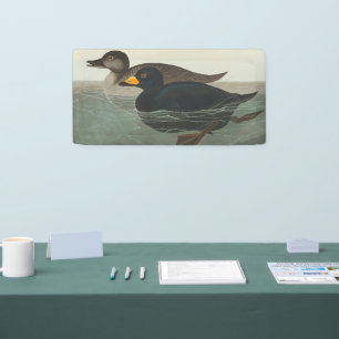 Audubon American Scoter Duck Classic Banner