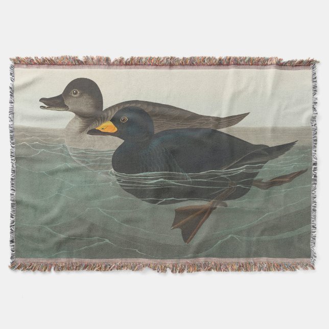 Audubon American Scoter Duck Classic Decke (Vorderseite)