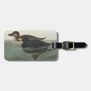 Audubon American Scoter Duck Classic Gepäckanhänger