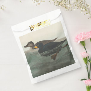 Audubon American Scoter Duck Classic Geschenktütchen