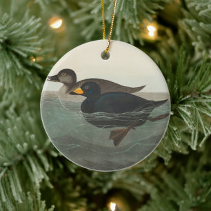 Audubon American Scoter Duck Classic Keramik Ornament