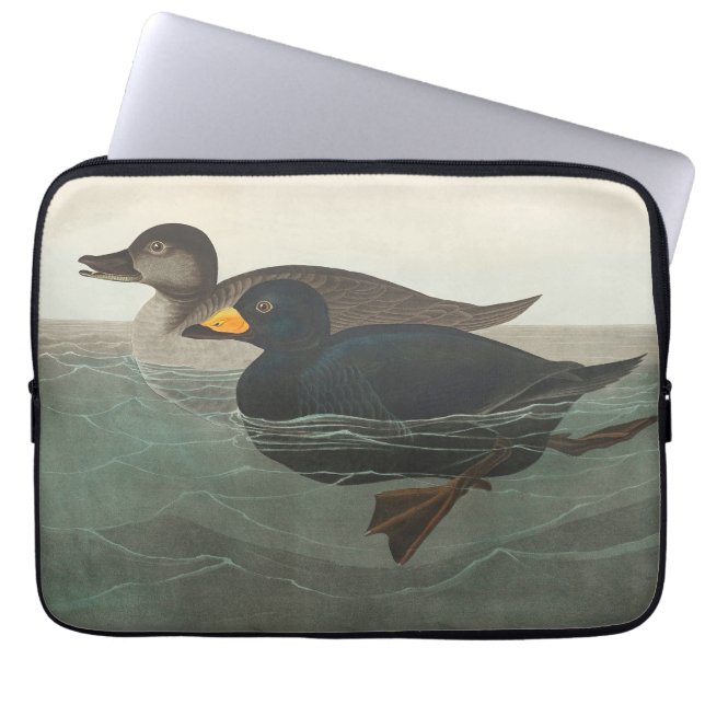Audubon American Scoter Duck Classic Laptopschutzhülle (Vorderseite)