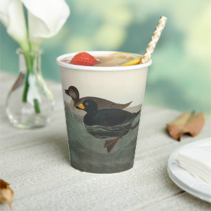 Audubon American Scoter Duck Classic Pappbecher