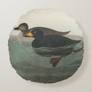 Audubon American Scoter Duck Classic Rundes Kissen