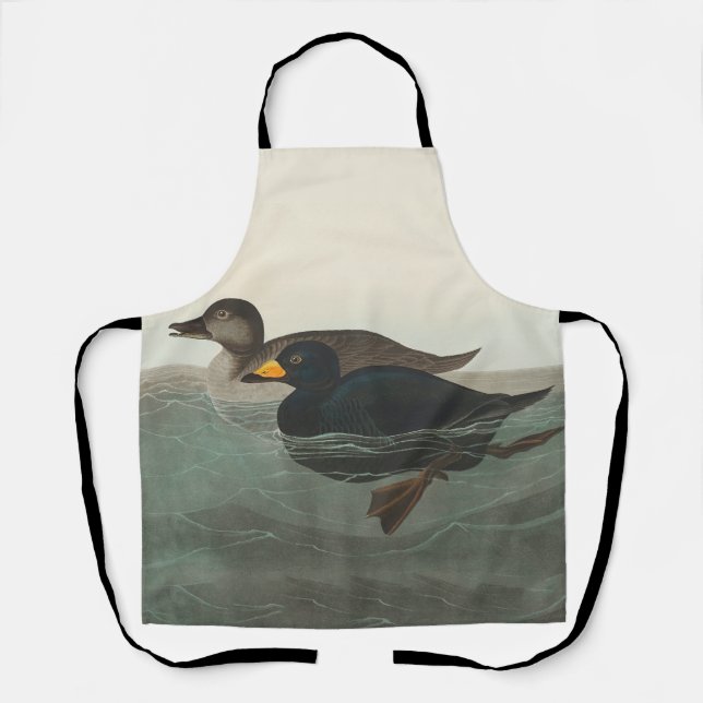 Audubon American Scoter Duck Classic Schürze (Vorderseite)