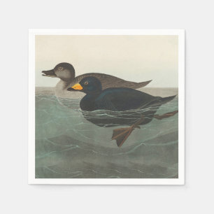 Audubon American Scoter Duck Classic Serviette