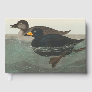 Audubon American Scoter Duck Gästebuch