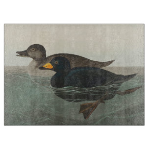Audubon American Scoter Duck Schneidebrett