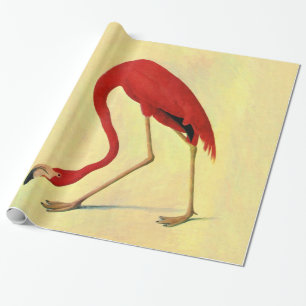 Audubon Amerikanischer Flamingo-Malerei Geschenkpapier