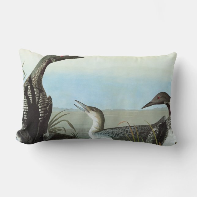Audubon: Arktischer Loon Lendenkissen (Vorderseite)