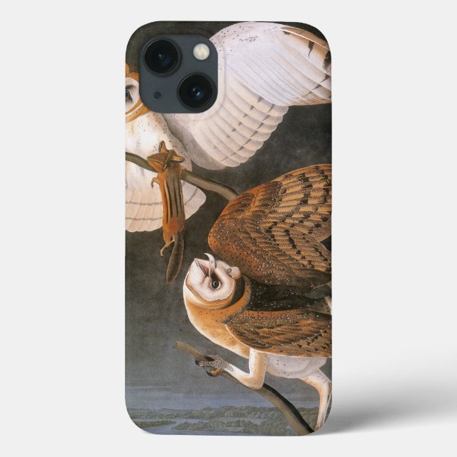 Audubon: Barschüssel Case-Mate iPhone Hülle (Rückseite)