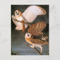 Audubon: Barschüssel