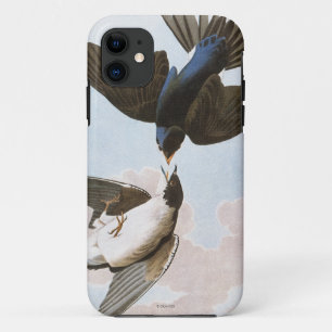 Audubon: Baum-Schwalbe Case-Mate iPhone Hülle