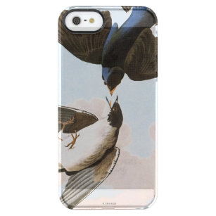 Audubon: Baum-Schwalbe Durchsichtige iPhone SE/5/5s Hülle