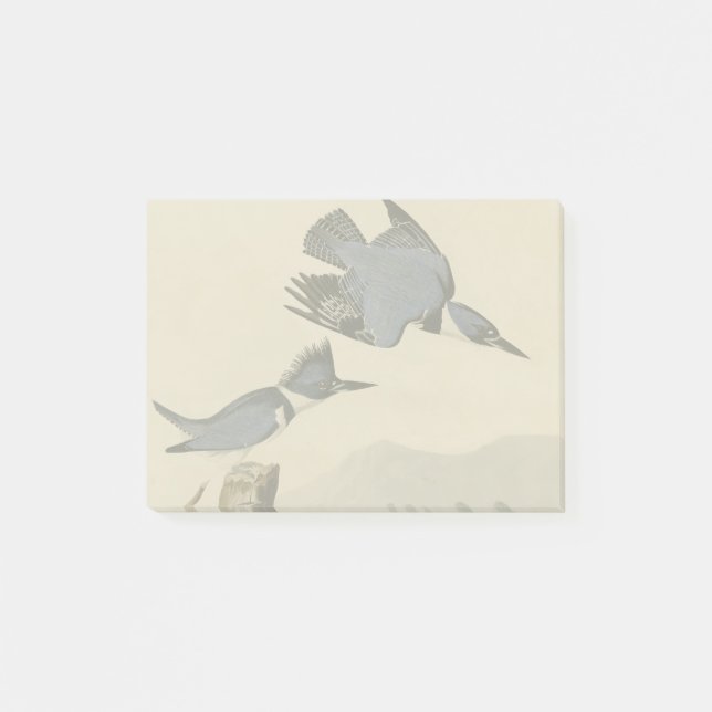 Audubon Belted Kingfisher Wildlife Bird Post-it Klebezettel (Vorderseite)