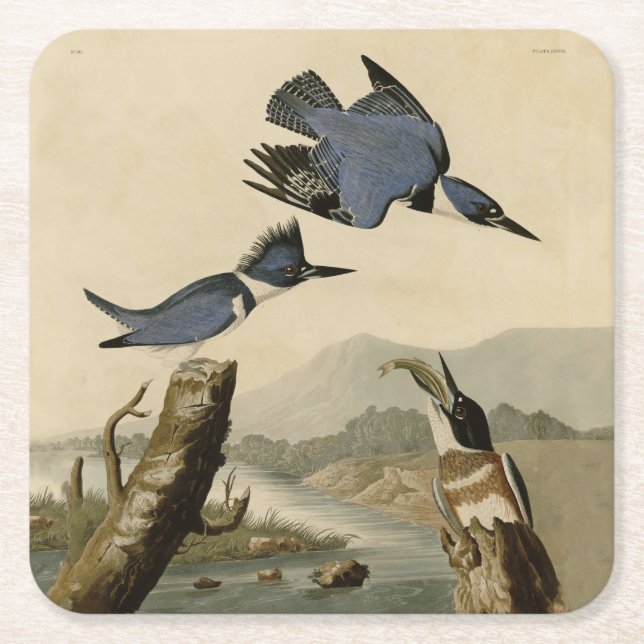 Audubon Belted Kingfisher Wildlife Bird Rechteckiger Pappuntersetzer (Vorderseite)