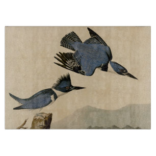 Audubon Belted Kingfisher Wildlife Bird Schneidebrett