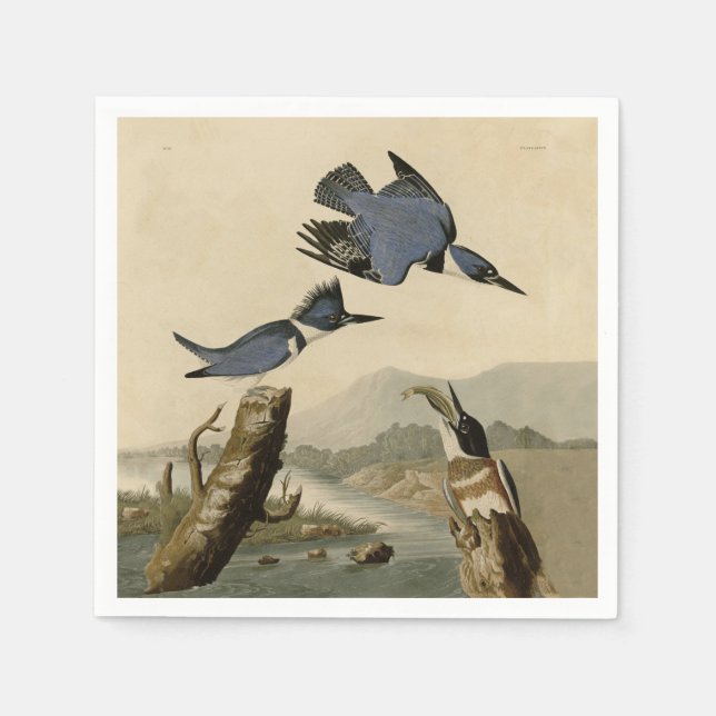 Audubon Belted Kingfisher Wildlife Bird Serviette (Vorderseite)