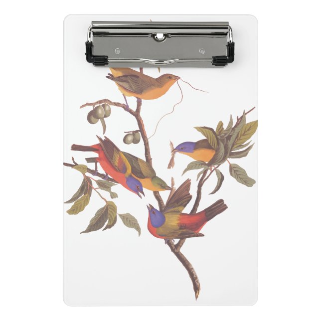 Audubon bemalt Jagdvögel in einem Cherokee Pflaume Mini Klemmbrett (Vorderseite)