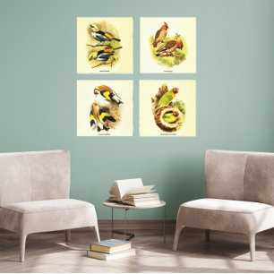 Audubon Bird Gallery Set von 4 Leinwanddruck