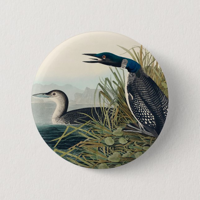 Audubon Bird Loon Diver Classic Button (Vorderseite)