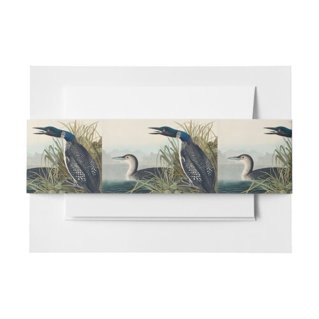 Audubon Bird Loon Diver Classic Einladungsbanderole (Vorderseite Beispiel)