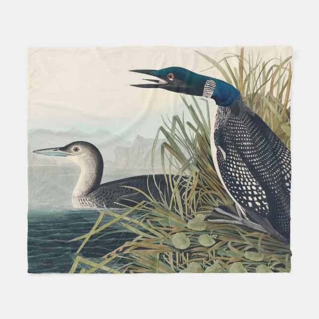 Audubon Bird Loon Diver Classic Fleecedecke (Vorderseite (Horizontal))