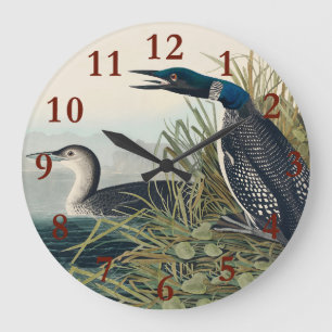Audubon Bird Loon Diver Classic Große Wanduhr