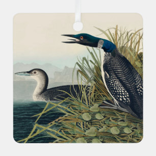 Audubon Bird Loon Diver Classic Ornament Aus Metall