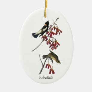 Audubon Bobolink Keramik Ornament