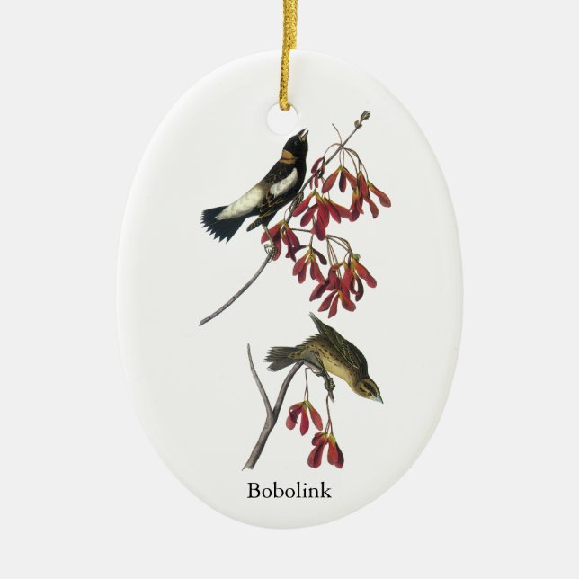 Audubon Bobolink Keramik Ornament (Vorne)