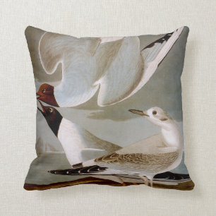 Audubon: Bonapartes Möve Kissen