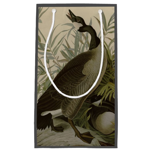 Audubon Canada Goose Wildlife Bird Kleine Geschenktüte (Vorderseite)