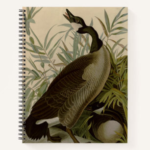 Audubon Canada Goose Wildlife Bird Notizbuch