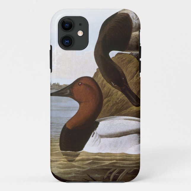 Audubon: Canvasback Case-Mate iPhone Hülle (Rückseite)