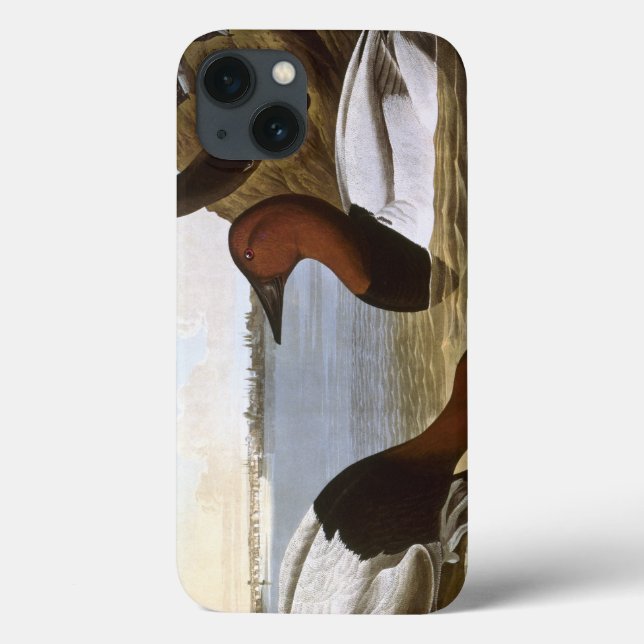 Audubon: Canvasback Case-Mate iPhone Hülle (Rückseite)