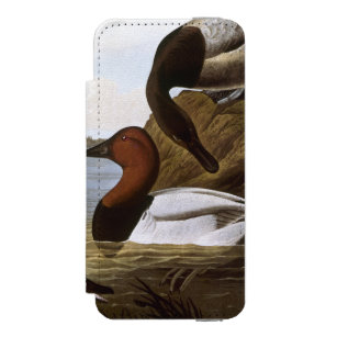Audubon: Canvasback Incipio Watson™ iPhone 5 Geldbörsen Hülle