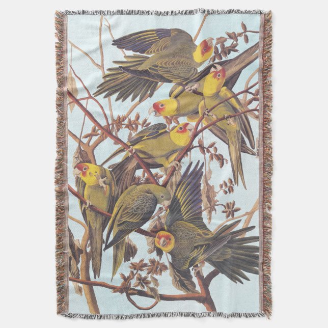 Audubon Carolina Parakeet Flock Decke (Vorderseite Vertikal)