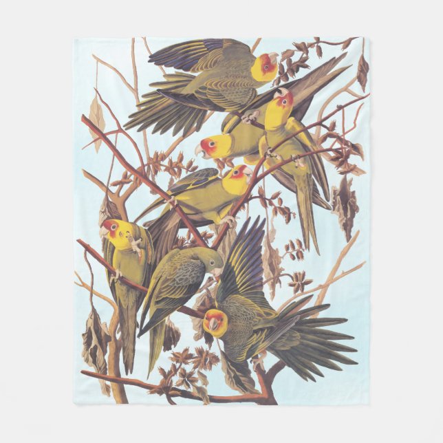 Audubon Carolina Parakeet Flock Fleecedecke (Vorderseite)