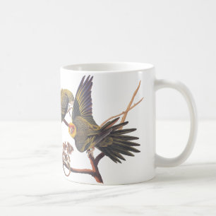 Audubon Carolina Parakeet Tasse