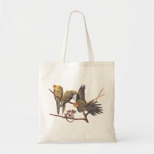 Audubon Carolina Parakeet Trio T - Shirt Tragetasche