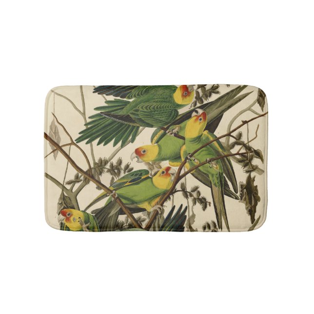 Audubon Carolina Parrot Bird Illustration Badematte (Vorderseite)