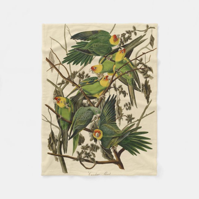 Audubon Carolina Parrot Bird Illustration Fleecedecke (Vorderseite)