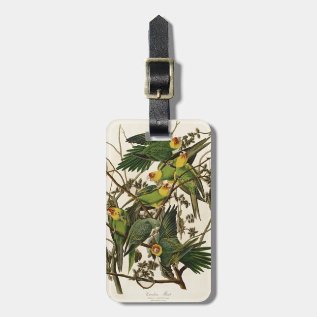 Audubon Carolina Parrot Bird Illustration Gepäckanhänger (Vorderseite vertikal)