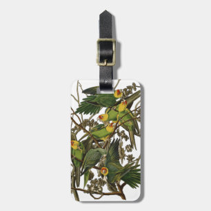 Audubon Carolina Parrot Bird Illustration Gepäckanhänger