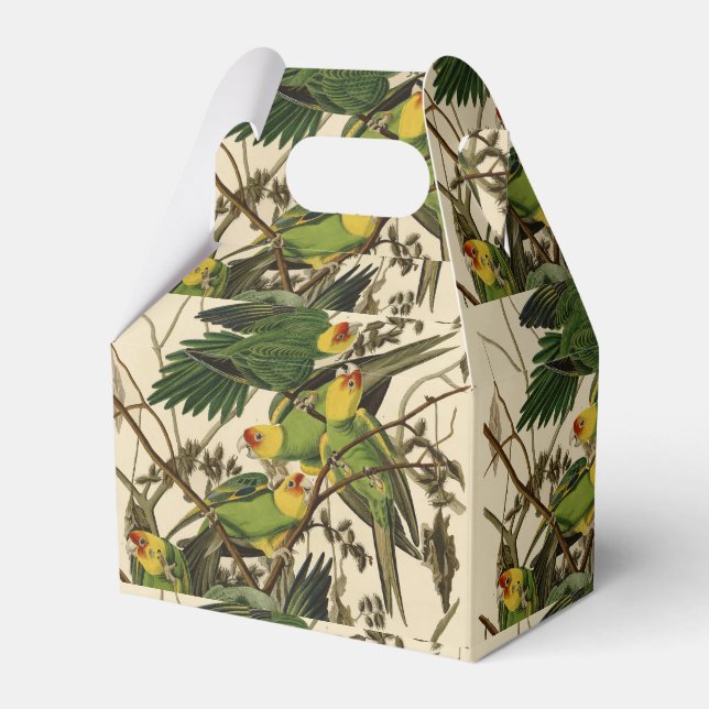 Audubon Carolina Parrot Bird Illustration Geschenkschachtel (Vorderseite)