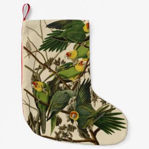 Audubon Carolina Parrot Bird Illustration Kleiner Weihnachtsstrumpf
